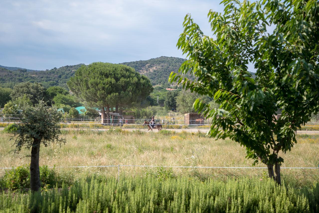 Mas Le Chene Lägenhet Grimaud Exteriör bild